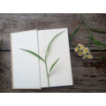 Hot Selling Cheap Hardcover School Kraft Notebook